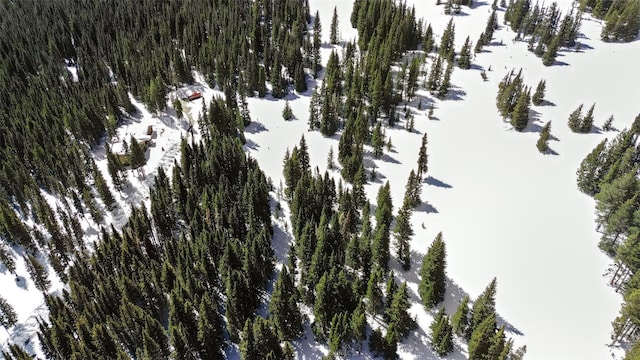 23 Camron Ln, Breckenridge, CO 80424