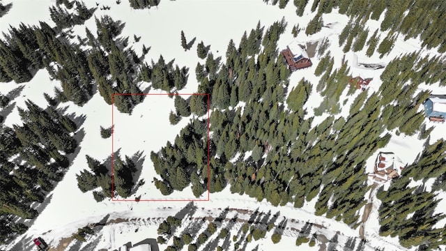 23 Camron Ln, Breckenridge, CO 80424