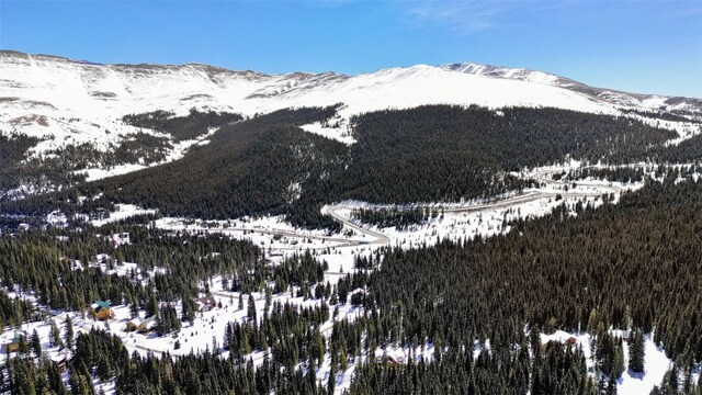 23 Camron Ln, Breckenridge, CO 80424