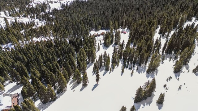 23 Camron Ln, Breckenridge, CO 80424