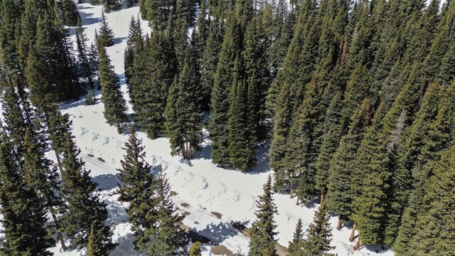 23 Camron Ln, Breckenridge, CO 80424