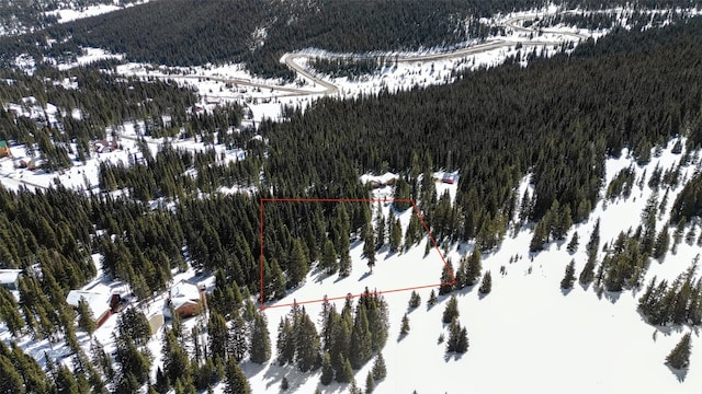 23 Camron Ln, Breckenridge, CO 80424