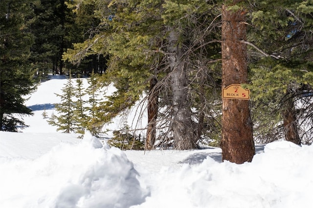 23 Camron Ln, Breckenridge, CO 80424