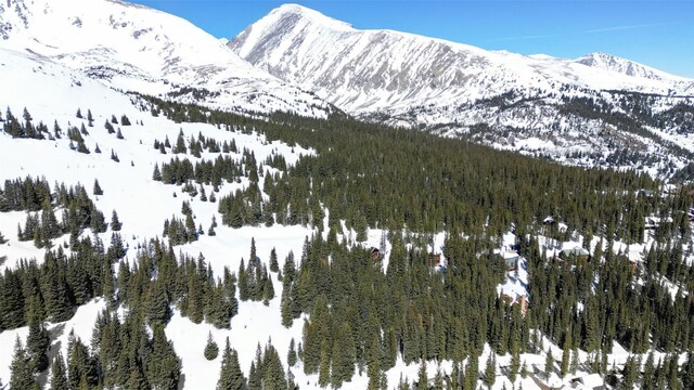 23 Camron Ln, Breckenridge, CO 80424