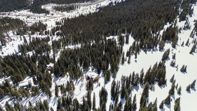 23 Camron Ln, Breckenridge, CO 80424