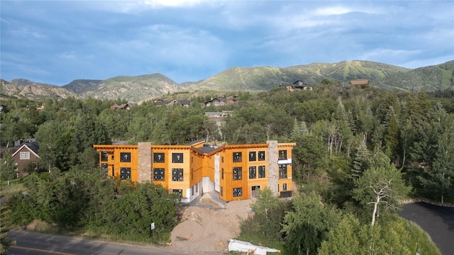 200 Sundance Ct Unit 1, Steamboat Springs, CO 80487 - photo 38