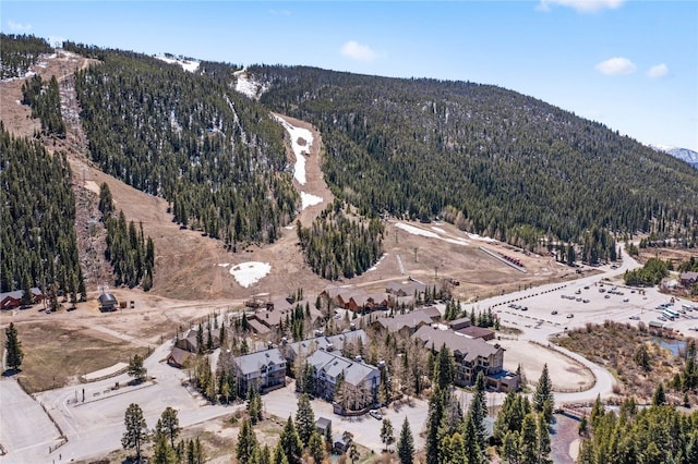 1207 W Keystone Rd Unit 2703, Keystone, CO 80435 - view of property location featuring a forest and a mountainous background
