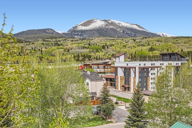 980 Lakepoint Dr Unit 202, Frisco, CO 80443 - mountain view with a forest