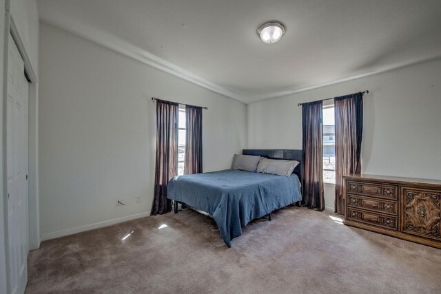 316 Stone Creek Dr, Fairplay, CO 80440 - bedroom featuring carpet and baseboards