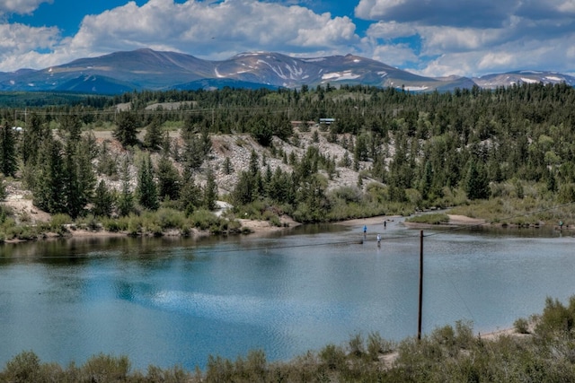 316 Stone Creek Dr, Fairplay, CO 80440 - photo 23
