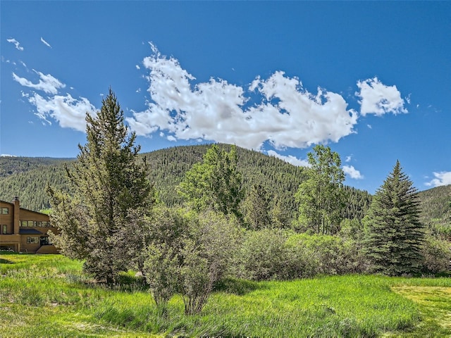 620 Tennis Club Rd Unit 1339, Keystone, CO 80435 - photo 48