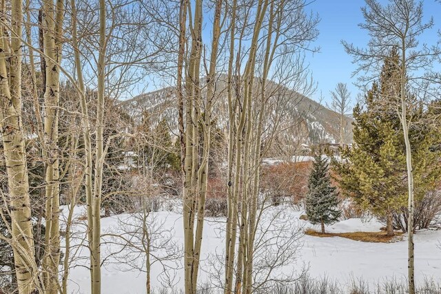 620 Tennis Club Rd Unit 1339, Keystone, CO 80435 - photo 45