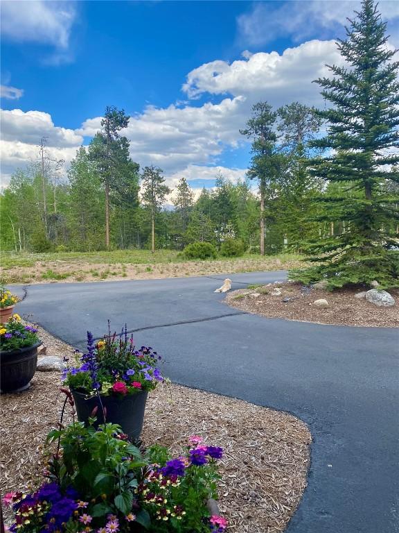 223 County Road 1041, Frisco, CO 80443 - wooden terrace with a mountain view and a yard