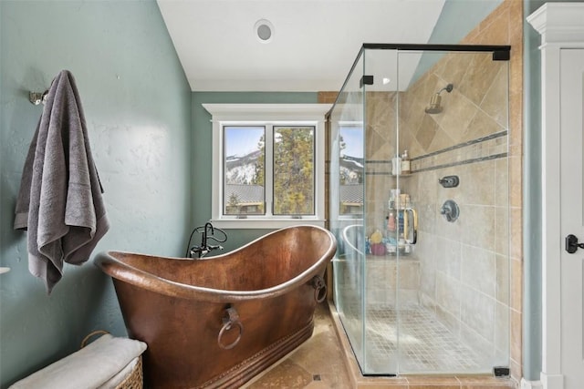 223 County Road 1041, Frisco, CO 80443 - bathroom with a freestanding tub and a stall shower