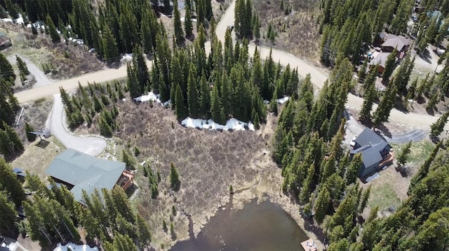 14 Rena Rd, Breckenridge, CO 80424