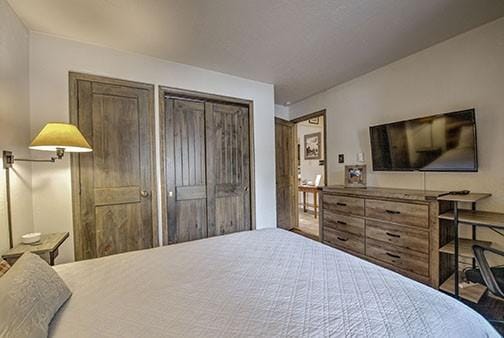 820 Columbine Rd Unit 10, Breckenridge, CO 80424 - view of bedroom