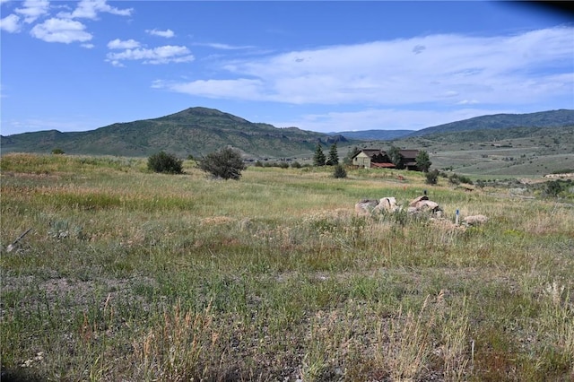 23590 Young Creek Way, Oak Creek, CO 80467 - photo 14