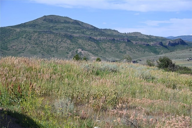 23590 Young Creek Way, Oak Creek, CO 80467 - photo 15