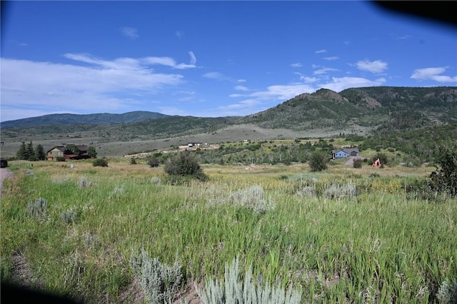 23590 Young Creek Way, Oak Creek, CO 80467 - photo 25