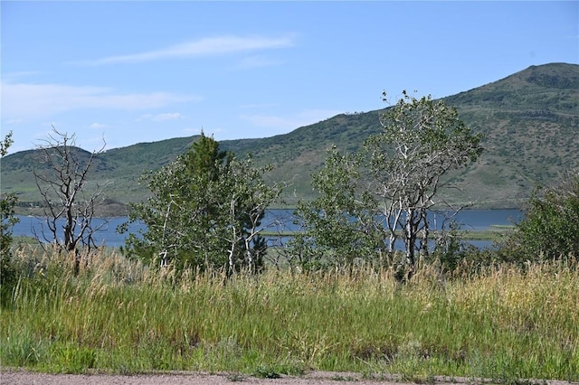 23590 Young Creek Way, Oak Creek, CO 80467 - photo 28