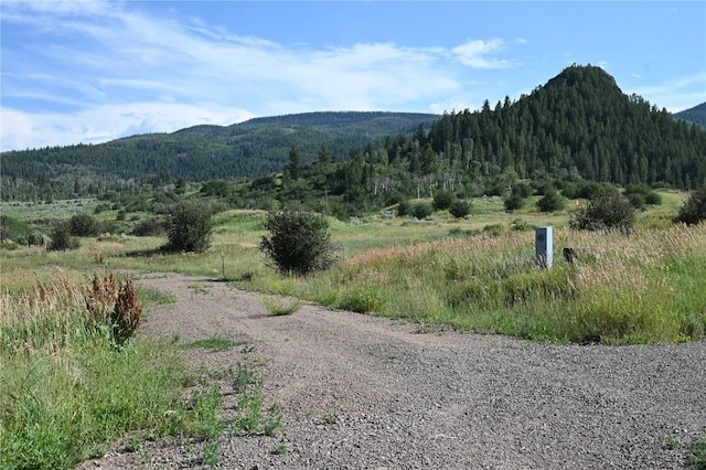 23590 Young Creek Way, Oak Creek, CO 80467 - photo 20