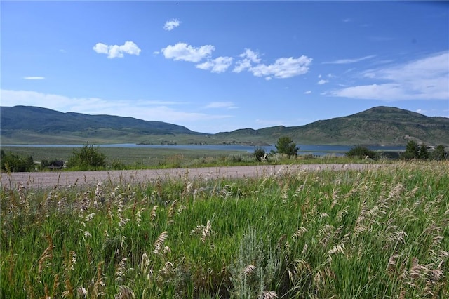 23590 Young Creek Way, Oak Creek, CO 80467 - photo 1