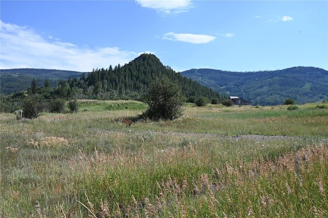23590 Young Creek Way, Oak Creek, CO 80467 - photo 8