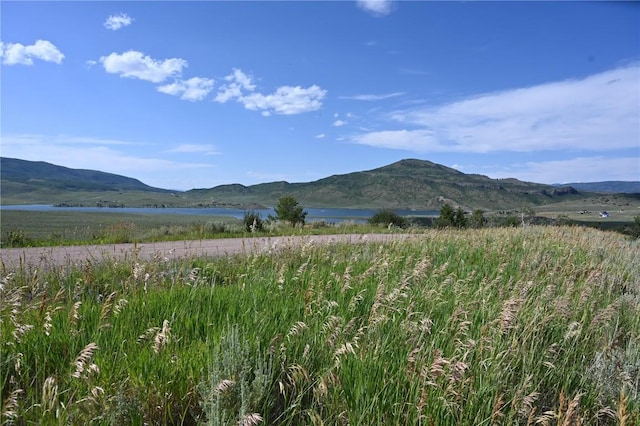 23590 Young Creek Way, Oak Creek, CO 80467 - photo 2