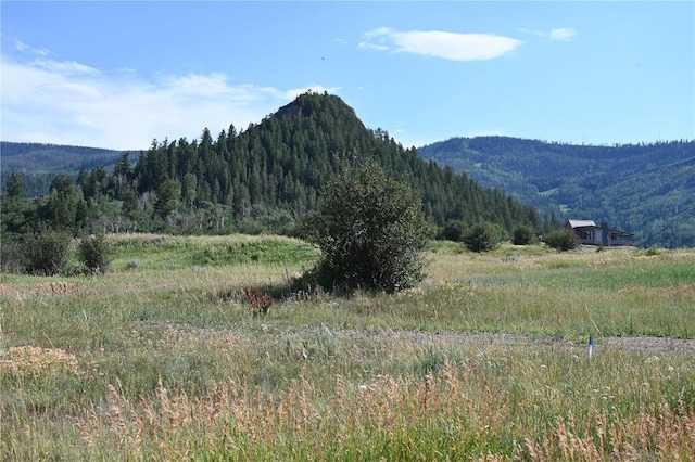 23590 Young Creek Way, Oak Creek, CO 80467 - photo 9