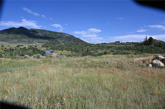 23590 Young Creek Way, Oak Creek, CO 80467 - photo 11