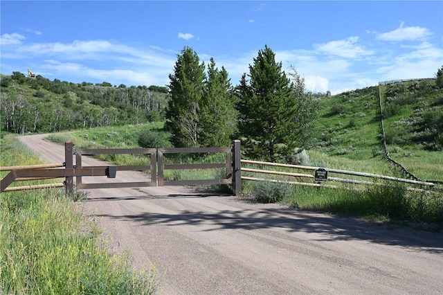 23590 Young Creek Way, Oak Creek, CO 80467 - photo 31