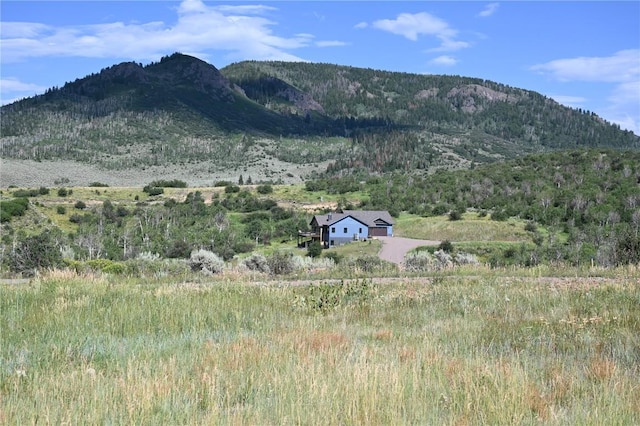 23590 Young Creek Way, Oak Creek, CO 80467 - photo 10