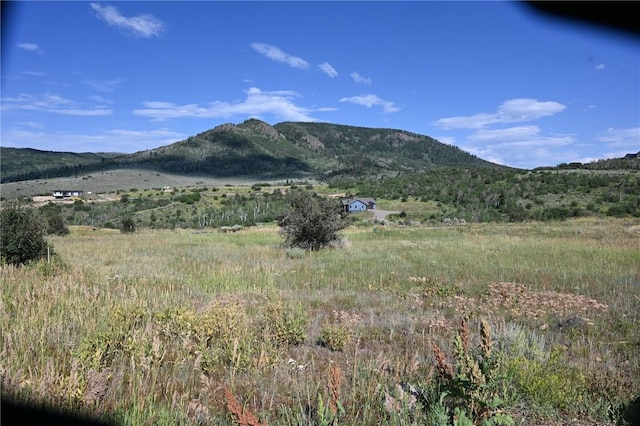 23590 Young Creek Way, Oak Creek, CO 80467 - photo 6