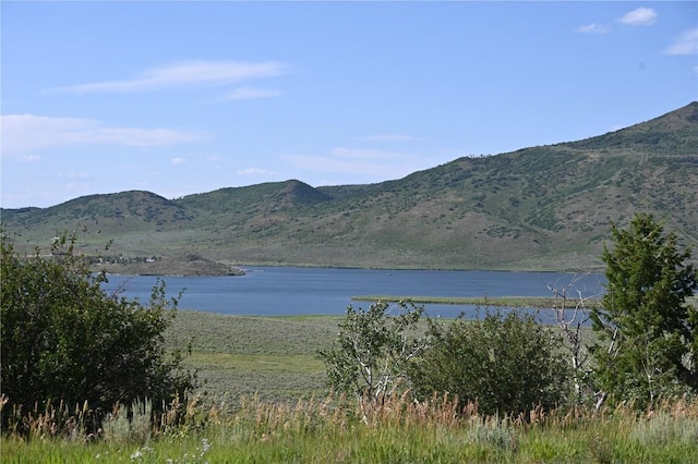 23590 Young Creek Way, Oak Creek, CO 80467 - photo 21