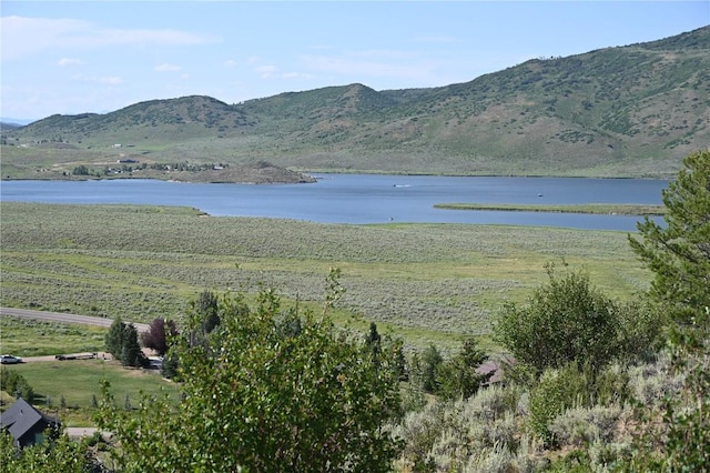 23590 Young Creek Way, Oak Creek, CO 80467 - photo 16