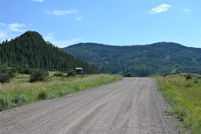 23590 Young Creek Way, Oak Creek, CO 80467 - photo 18