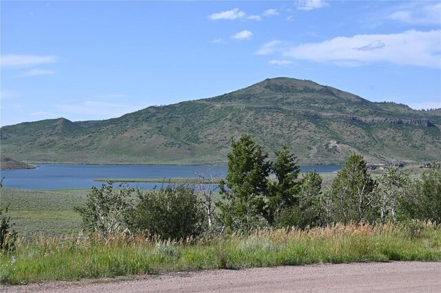 23590 Young Creek Way, Oak Creek, CO 80467 - photo 22