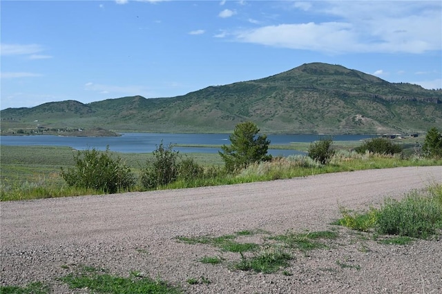 23590 Young Creek Way, Oak Creek, CO 80467 - photo 4