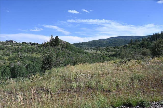 23590 Young Creek Way, Oak Creek, CO 80467 - photo 12