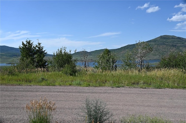23590 Young Creek Way, Oak Creek, CO 80467 - photo 27