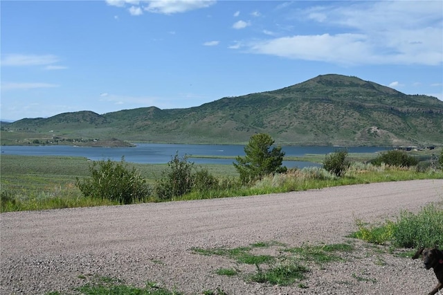 23590 Young Creek Way, Oak Creek, CO 80467 - photo 3