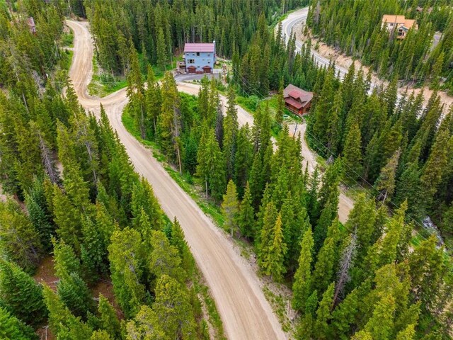 103 Mark Ct, Breckenridge, CO 80424 - photo 16