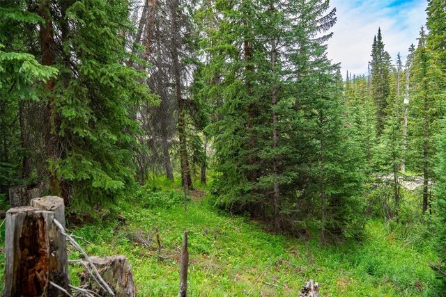 103 Mark Ct, Breckenridge, CO 80424 - photo 6