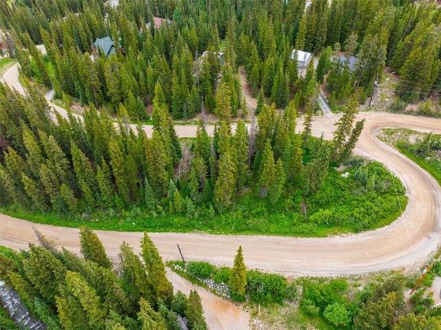 103 Mark Ct, Breckenridge, CO 80424 - photo 13