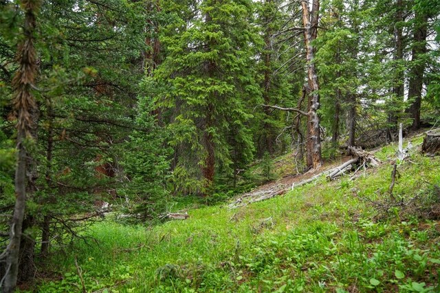 103 Mark Ct, Breckenridge, CO 80424 - photo 4