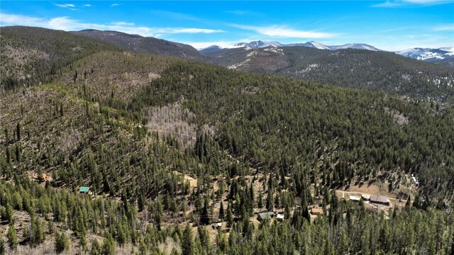 823 Gcr 8411, Tabernash, CO 80478 - view of mountain backdrop with a forest