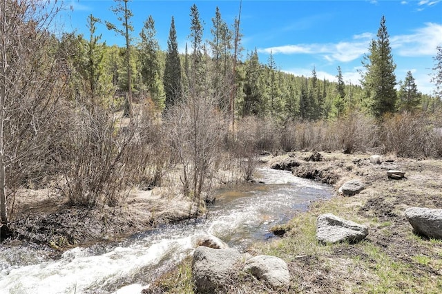 823 Gcr 8411, Tabernash, CO 80478 - view of tree filled area
