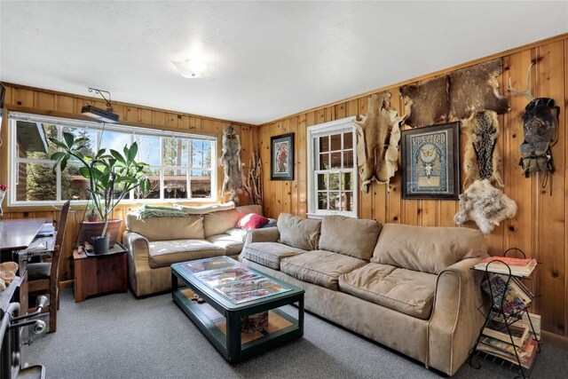 823 Gcr 8411, Tabernash, CO 80478 - carpeted living area featuring wooden walls