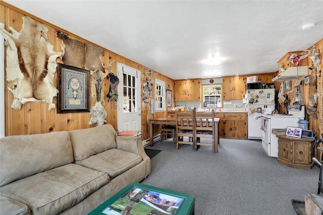 823 Gcr 8411, Tabernash, CO 80478 - carpeted living area with a baseboard radiator and wooden walls