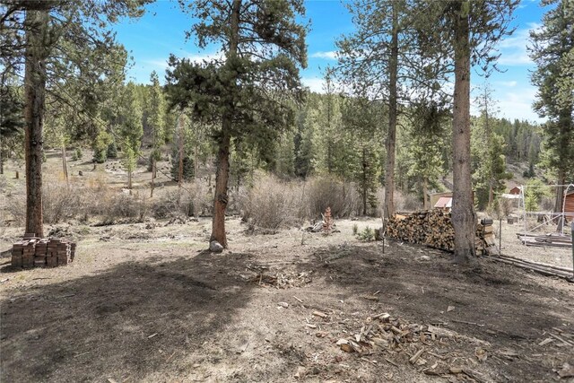823 Gcr 8411, Tabernash, CO 80478 - view of woods